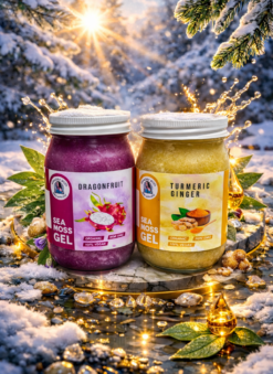 Seamoss or Irish Moss (Mousse d'Irlande)